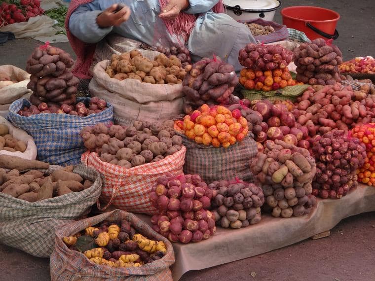 Andean Potatoes
