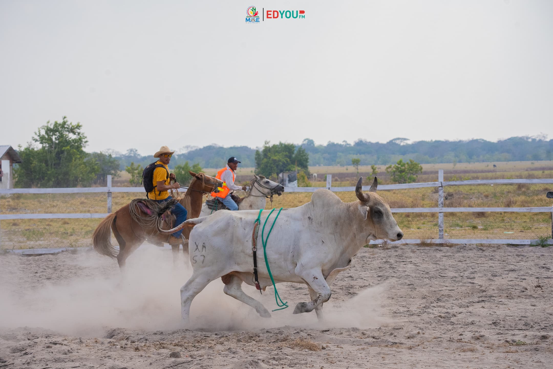 Ranching in the Rupununi