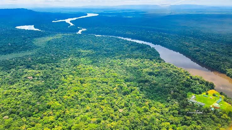 Iwokrama Forest