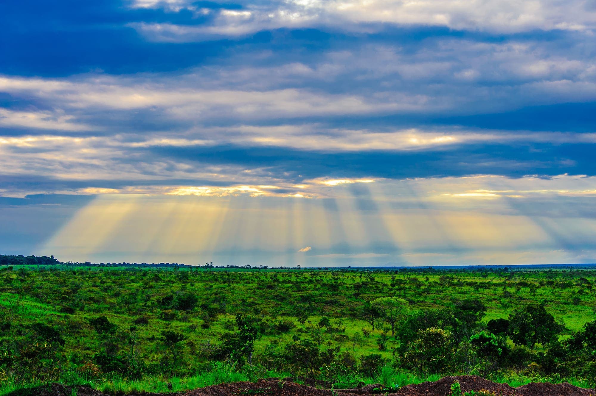Rupununi
