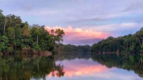 Manú National Park