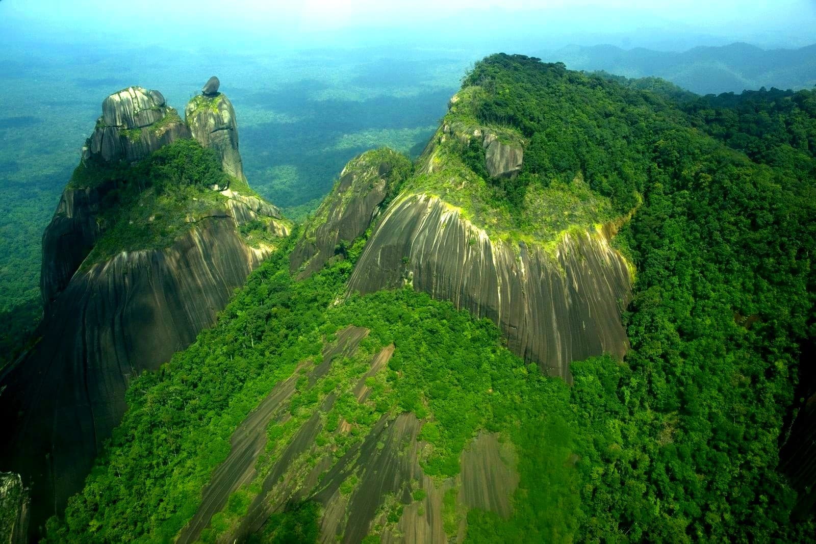 Central Suriname Nature Reserve