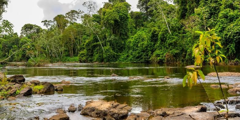 Suriname