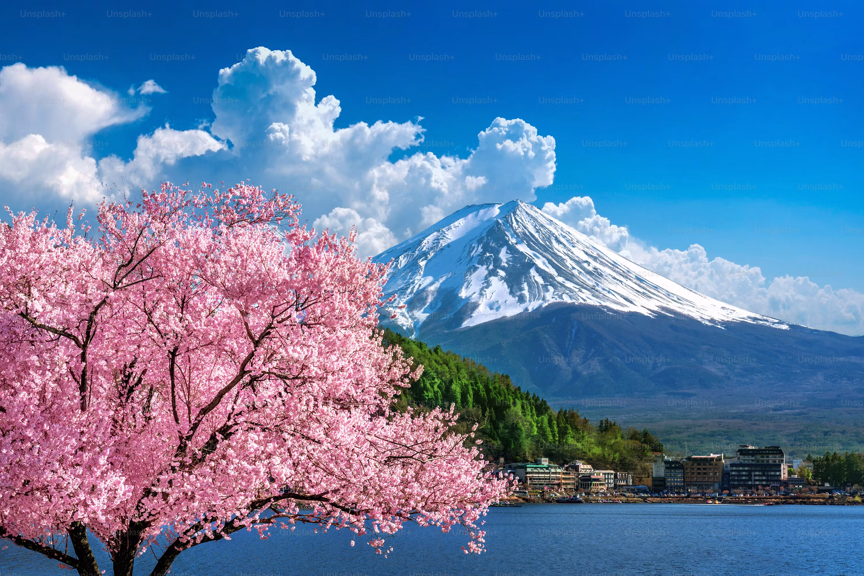 Mount Fuji