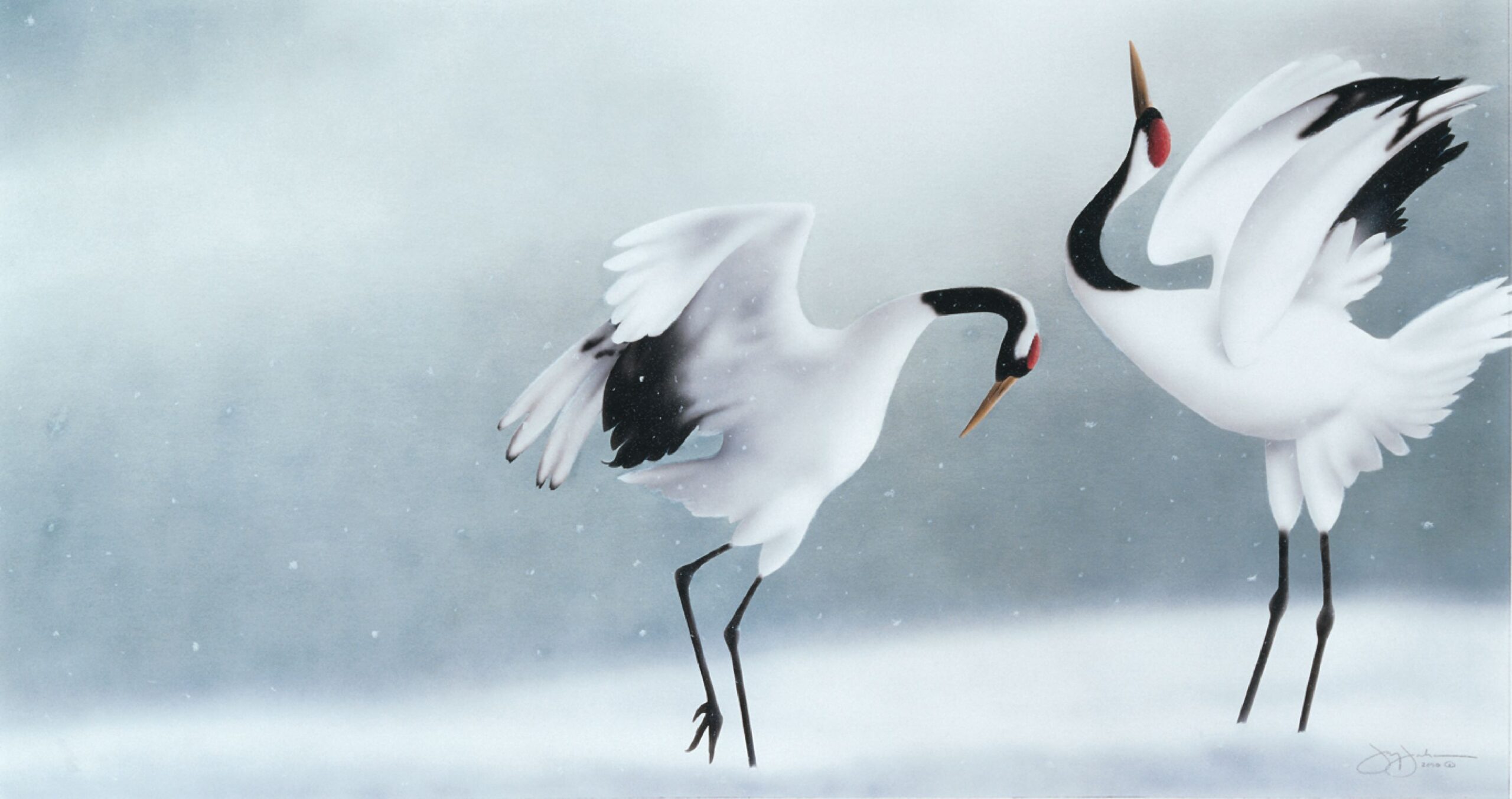Red-Crowned Crane in South Korea